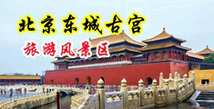 艹黑丝小穴中国北京-东城古宫旅游风景区
